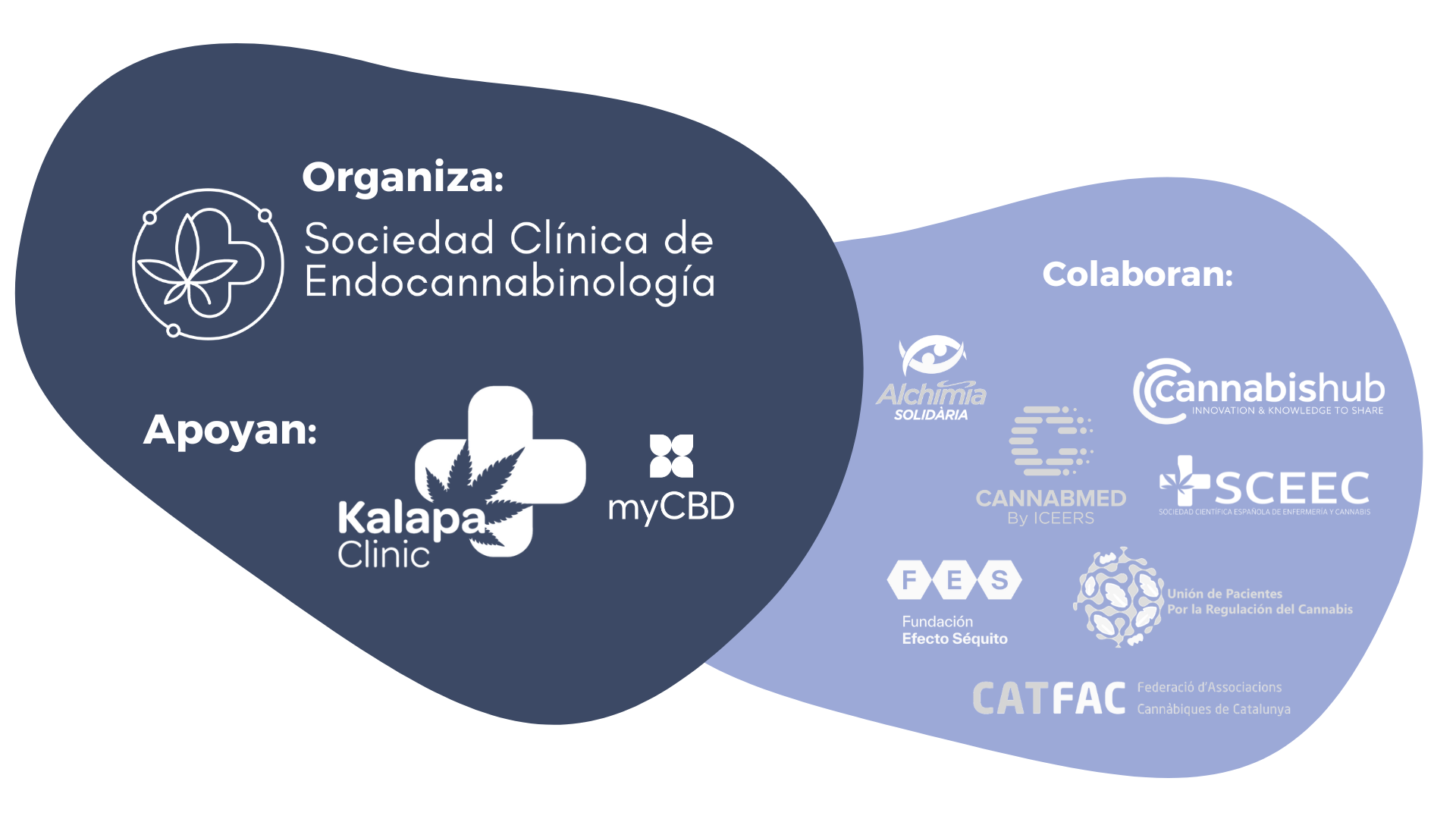 SCE evento apoyos y colaboradores Logo CannabisHub Universitat Politècnica de Catalunya - Sociedad Clínica de Endocannabinología